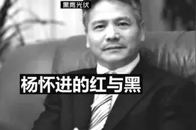 “光伏教父”杨怀进的红与黑图片