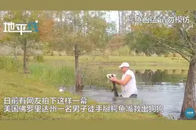 美国一男子徒手掰开鳄鱼嘴救出狗子，网友：好硬核图片