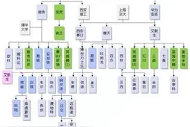 华为的断臂自救往事图片