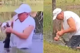 别咬我的狗！国外74岁老人为救爱犬，跳水中徒手掰开鳄鱼嘴图片