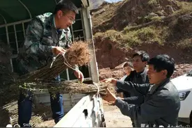 巧用“绣花功夫” 争做夹江援彝实干书记图片