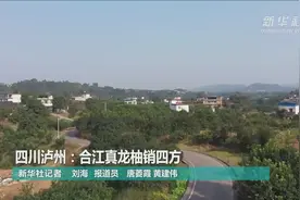 四川泸州：合江真龙柚销四方视频封面