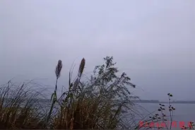 武汉周日或能见到太阳的笑脸，抓紧洗晒图片