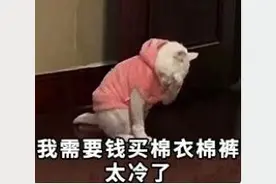 冬季模式开启！交通事故率增加，这些雷区你要小心图片