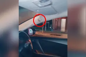 发现车里有蜘蛛女司机吓得跳车 气到要把车烧了图片