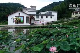 新华视点｜革命老区的脱贫“答卷”图片