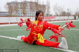 河北平乡：梅花拳进校园图片