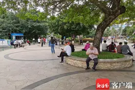 海口老年人不会叫网约车怎么办？平台尝试新举措让老人叫车不再难图片