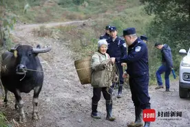 怀孕母牛丢了 七旬夫妇慌了 重庆永川红炉派出所全所出动了图片