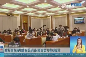 没有“漏网之鱼”！山东扫黑办通报青岛等地5起黑恶势力典型案件视频封面