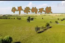 4平米的不服和7万亩的微笑视频封面