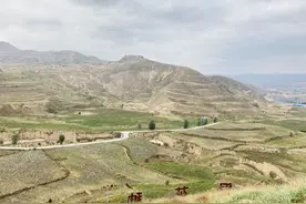 最后的脱贫户｜甘肃农户种金银花实现脱贫，先给儿子办婚礼图片