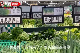 「原创视频」“葱姜蒜”行情来了？龙头股接连涨停图片