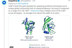 震惊科学界！DeepMind AI破解「蛋白质折叠」难题，攻克生物学50年巨大挑战图片