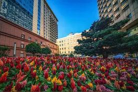 重庆市涪陵中心医院荣获第六届“全国文明单位”称号图片