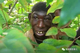 非洲男孩长相返祖只吃水果，被村民当"猴子"霸凌，让人心碎…图片