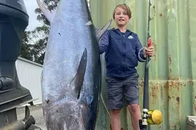 10岁男孩3小时钓到88公斤巨型金枪鱼破纪录图片