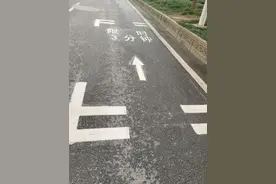 “限时3分钟”“半禁停”，武汉这些新交通标识是啥意思？图片