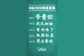 爷青回、双厨狂喜……B站年度弹幕出炉 你看懂了吗？图片