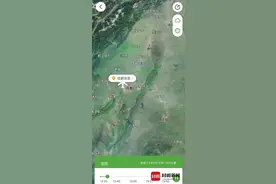 飞往上海一航班起飞20多分钟后返航！航空公司回应图片