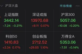 危险来了？2亿资金最后4分钟疯狂砸盘，6连涨后这只大牛股尾盘跳水图片