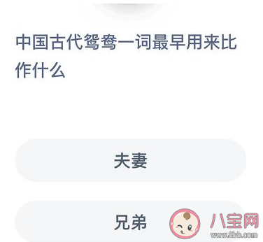 青鸳词语解释是什么（在古代鸳鸯一词最早用来比作 蚂蚁庄园12月4日答案今日答案最新）