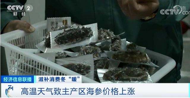 燕窝花胶 次数 2026年花胶燕窝多久吃一次