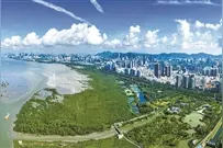这些排水新规不可不知图片