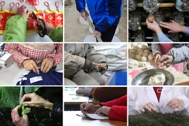 勤劳的双手图片