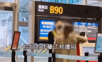 因迟到登机遭拒，哺乳期妈妈大闹机场：“我要全国最大的点击量！”图片