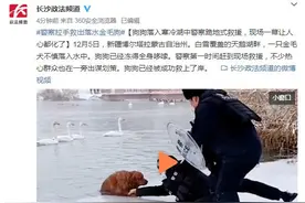 狗狗落入寒冷湖中警察跪地式救援，现场一幕让人心都化了图片