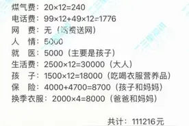 东北三口之家日常年花销11万？网友晒账单，评论区热闹了图片