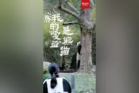 我的“爱豆”是熊猫图片