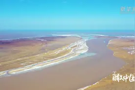 瞰中国|黄河入海口的纯净世界视频封面