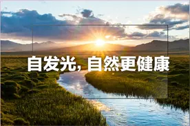 ​液晶屏比OLED屏蓝光高50%，远离近视要防屏幕伤害图片