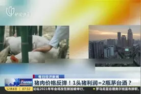 每日经济新闻：猪肉价格反弹！1头猪利润=2瓶茅台酒？  千家房企跨界养猪 卖猪比卖房挣钱？视频封面