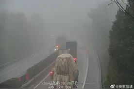 沪渝高速合安段两货车追尾一车着火 现场合肥往安庆方向临时封闭图片