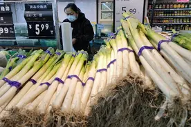 月底南方大葱批量上市“向前葱”或可放缓图片