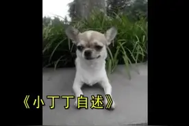 六年时光（下）图片