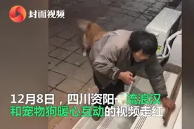 互相治愈！流浪大叔带馒头喂宠物店狗狗，网友：互相治愈的美好图片