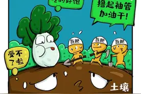 豆科植物为何不需要施氮肥？上海科学家回答重大科学问题图片