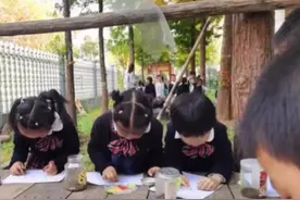 幼儿园开“死亡课程”，师生为虫子办葬礼，老师：让孩子珍惜生命图片