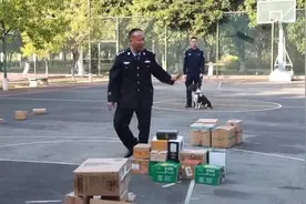 警犬穿戴式装备亮相！可实现人员远程指挥，警犬独立作业图片