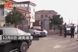 泪目！女主人出嫁，狗狗跟婚车狂奔10多公里送亲……图片