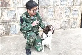 神犬奇兵是如何炼成的图片