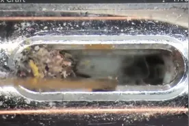 爱尔兰一男子在显微镜下清理手机污垢，耳机孔的灰尘、头发太恶心了图片