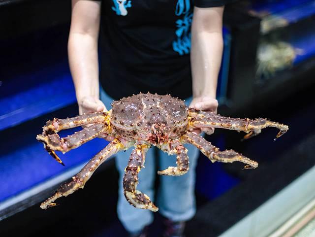 吐血整理三亚海棠湾、亚龙湾、三亚湾最全攻略，附详细吃、住、景点、交通信息