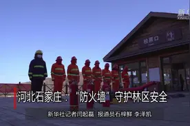 河北石家庄：“防火墙”守护林区安全视频封面