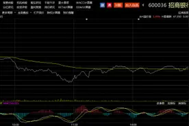 猝不及防！多股尾盘竞价遭砸盘，更有万亿市值大象股“不幸中招”，背后暗藏玄机？图片