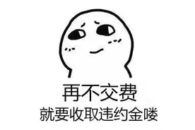 有调整！明年起，每月20日前必须缴清电费，否则将产生违约金图片